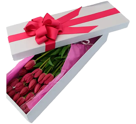 caja tulipanes