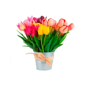 arreglos tulipanes – floreria los rosales