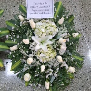 Lagrima fúnebre