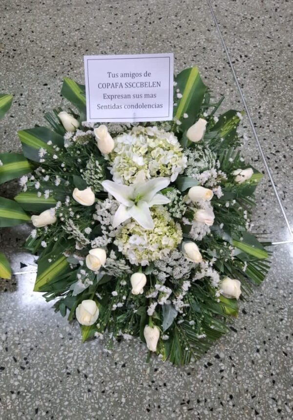 Lagrima fúnebre
